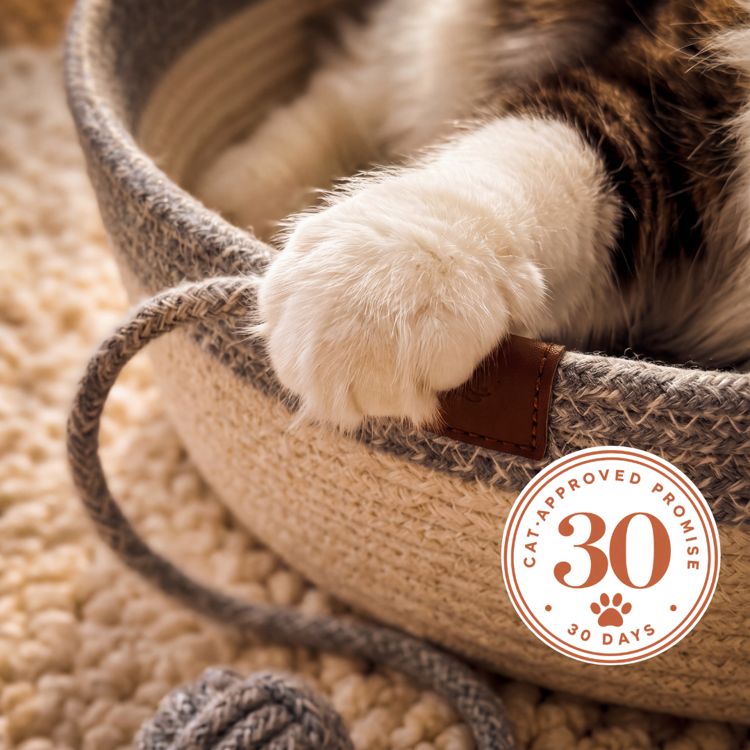 The 30-Day Cat-Approved Promise badge with the Brisbane support seal
