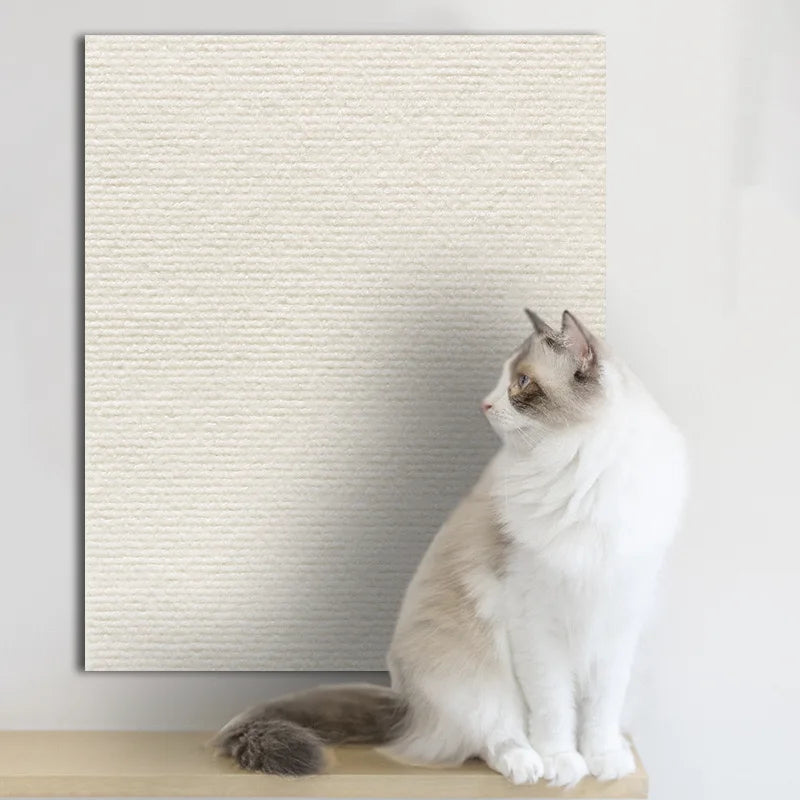 Couch Scratch Mat