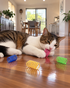 Spiral Spring Toys