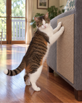 Couch Scratch Mat